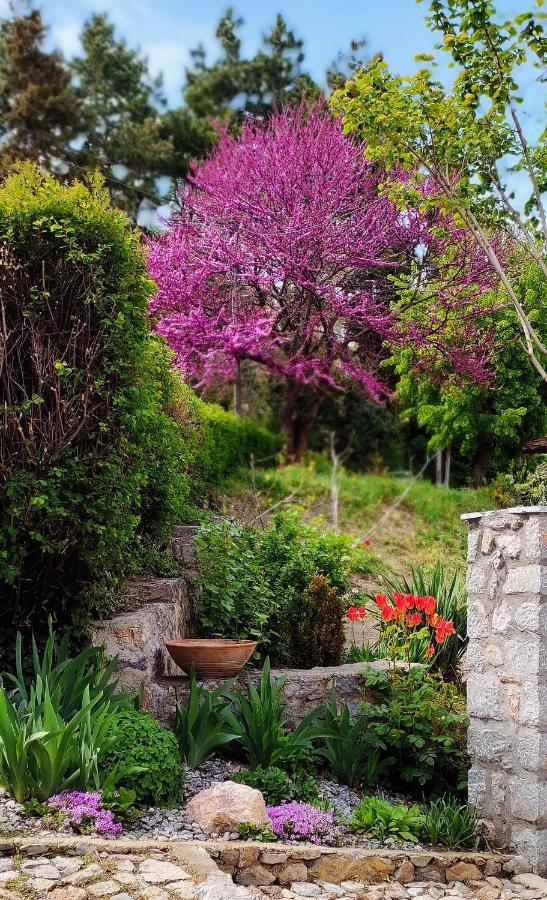 Zura Apartments Ohrid Luaran gambar