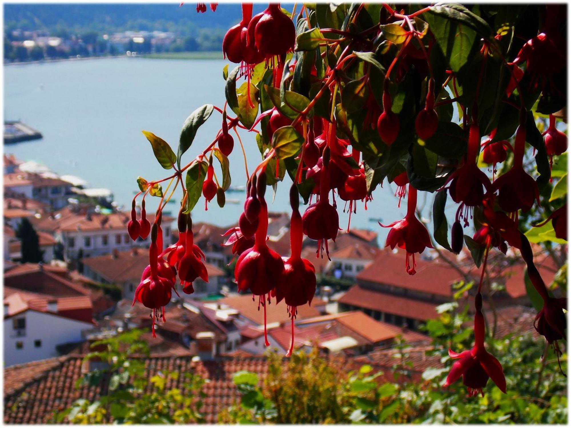 Zura Apartments Ohrid Luaran gambar