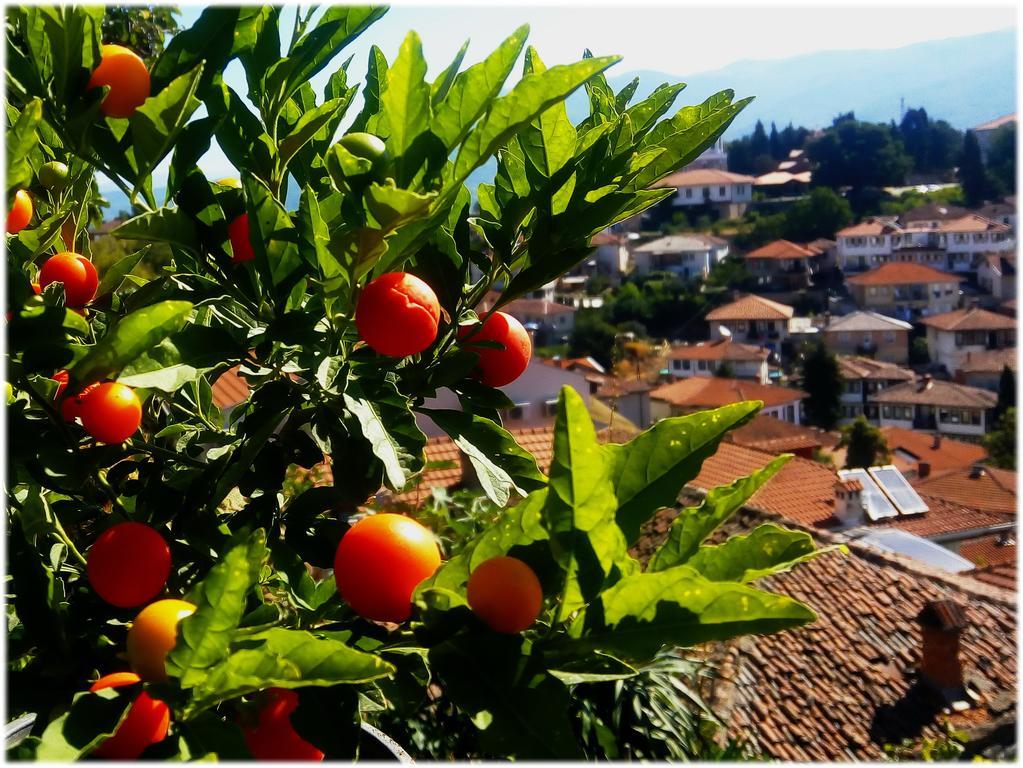 Zura Apartments Ohrid Luaran gambar
